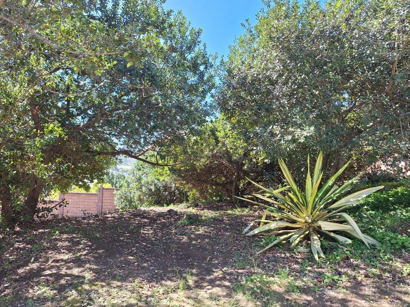 0 Bedroom Property for Sale in Bergsig Western Cape